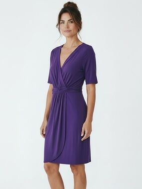 FRESH PRODUCE PURPLE FAUX WRAP EASY ON PULLOVER DRESS SZ L NWT